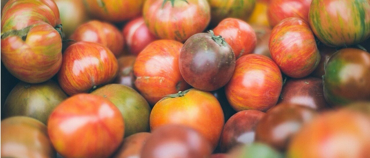 Read, orange, yellow and green tomatoes.